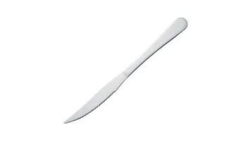 Faca Mesa Inox Classic Plus Wx279